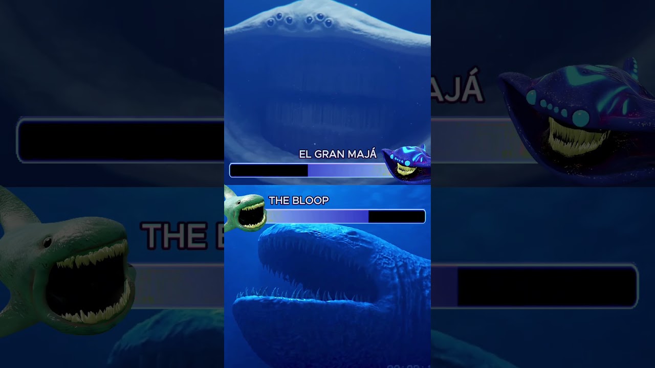 El Gran Majá vs The Bloop - Zoonomaly Remix 🎶