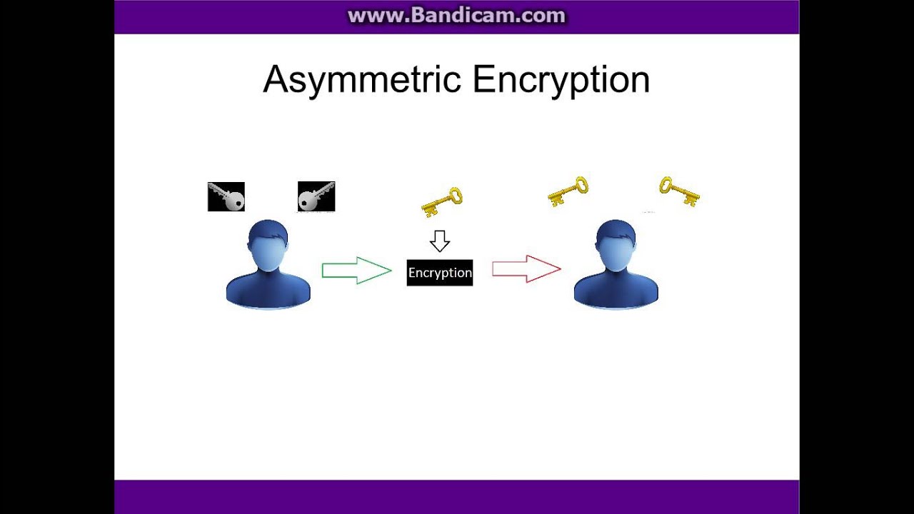 Crypto Terms Made Easy: A Simple Guide for Beginners 🔐