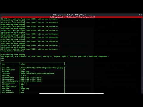 THM - STEGANOGRAPHY - Task5 Stegoveritas