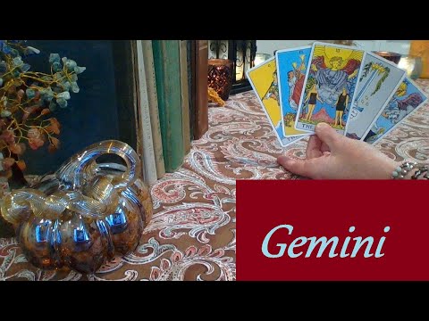 Gemini Mid November 2025 ❤💲 BIG RISK! You Will Not Regret This Gemini LOVE & CAREER #Gemini #Tarot