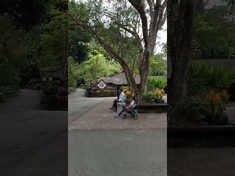 shorts trip!!BOTANIC GARDEN SINGAPORE