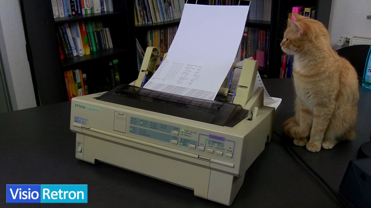 Adorable Cat Watches Classic Epson LQ 870 Dot Matrix Printer in Action 🖨️