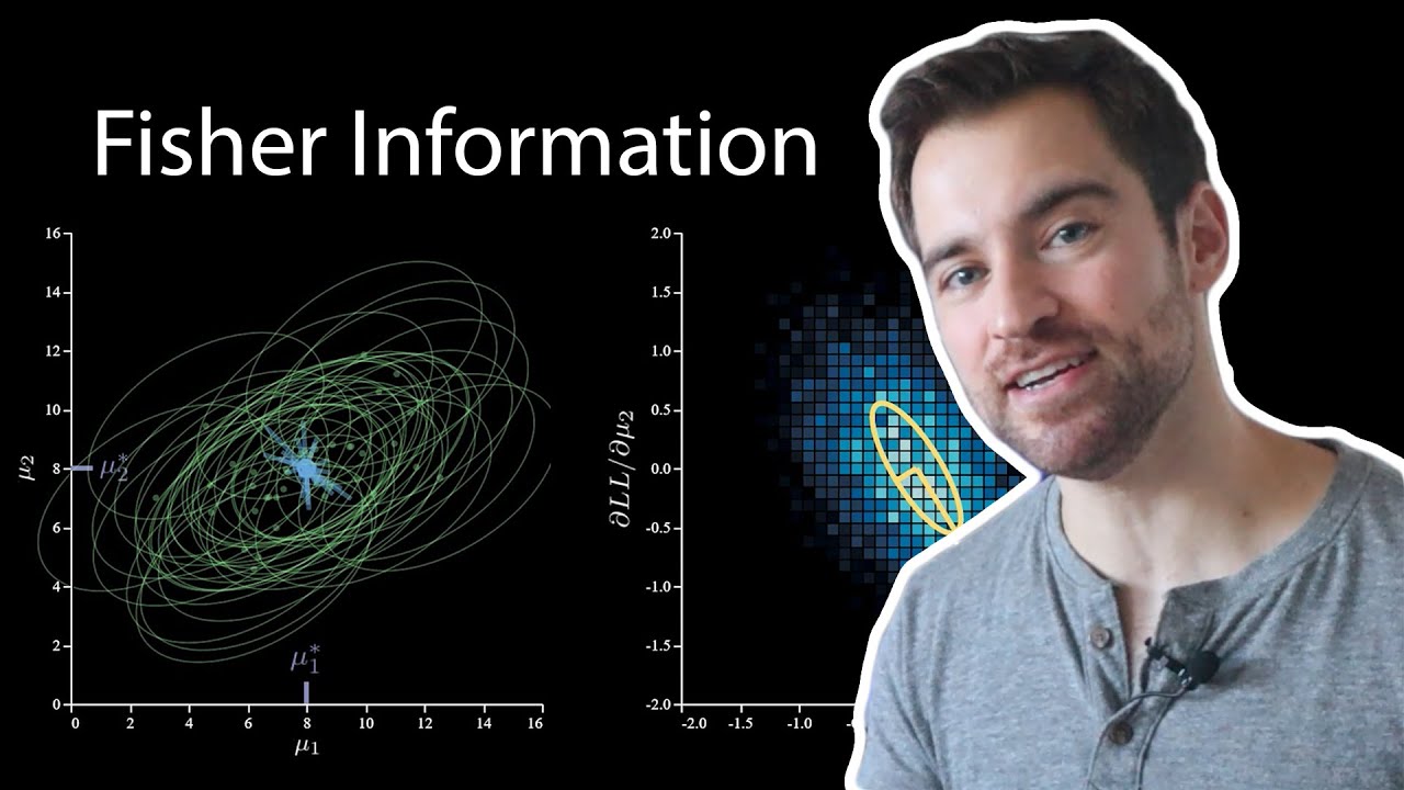 Understanding Fisher Information in ML 📊