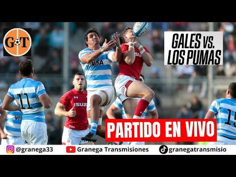 🛑 GALES VS LOS PUMAS EN VIVO ⚾  RUGBY TEST MATCH Amistosos Internacionales