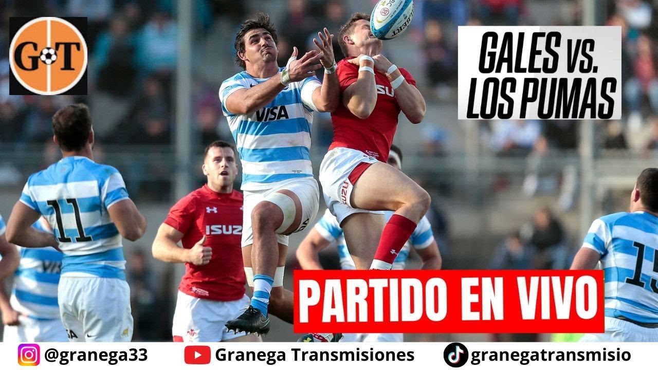 ¡Transmisión en Vivo! Gales vs Los Pumas en Rugby Internacional 🏉