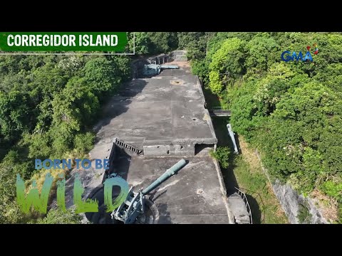 Abandonadong isla ng Corregidor, pinamumugaran ng iba’t ibang buhay-ilang! | Born to be Wild
