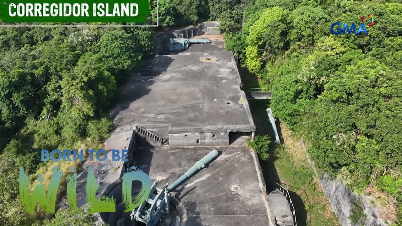 Corregidor Island: Abandoned WWII Fortress Now a Haven for Diverse Wildlife 🐦