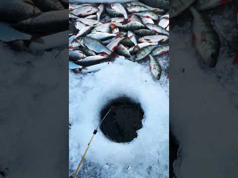 Зимняя рыбалка😍❄️ #рыбалка #зима #зимняярыбалка #мороз #солнце #отдых