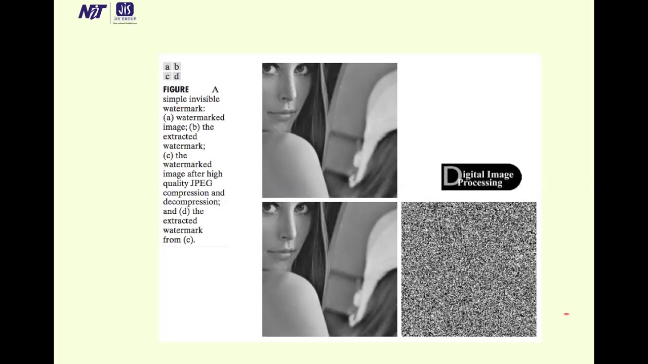 Security in Digital Image Processing: Watermarking Techniques - Module V, Lecture 6, EC703A