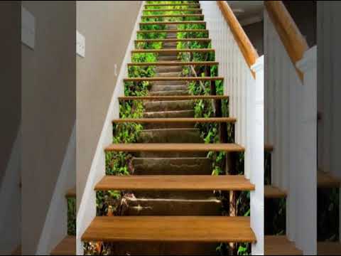 Drake Hotline Bling Fingerstyle Guitar Solo 🎸