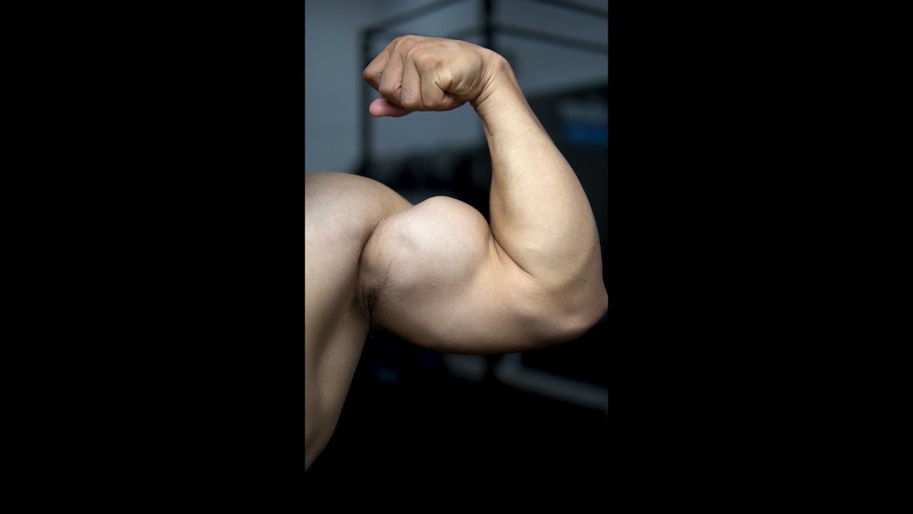 2 Bài Tập Xà Đơn Giúp Bắp Tay Trước To & Tròn Hiệu Quả 💪