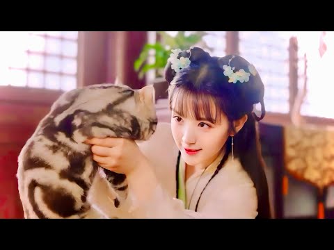 بنت كيوته بتتفاجئ ان الأمير اللي معجبه بيه بيتحول لقطه بسبب قوه خارقه وبتقرر تساعده يرجع لعالم القطط