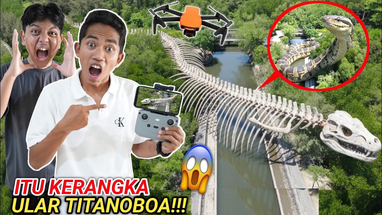 Viral! Drone Captures Stunning Footage of Titanoboa Skeleton 🐍
