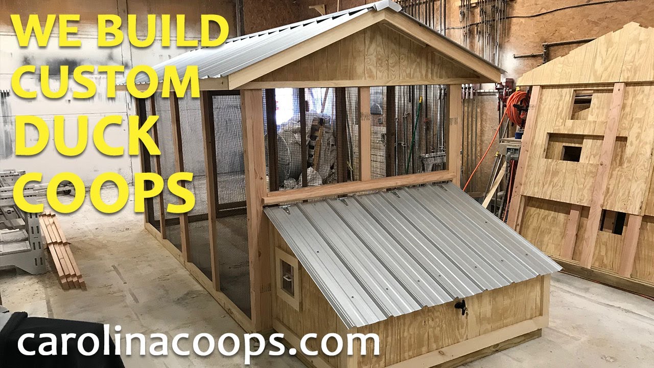 The Duck Coop - Carolina Coops Overview