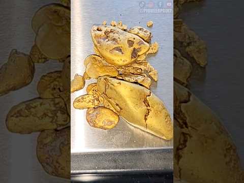 Diver Finds Biggest Gold Nugget In Bedrock Crack!