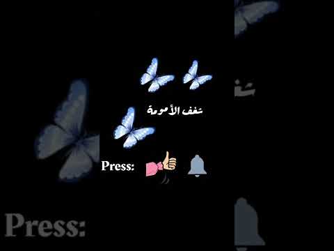 رمضان يجمعنا