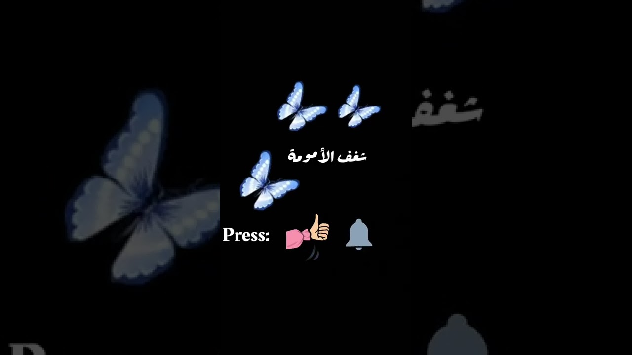 رمضان يجمعنا 🤝