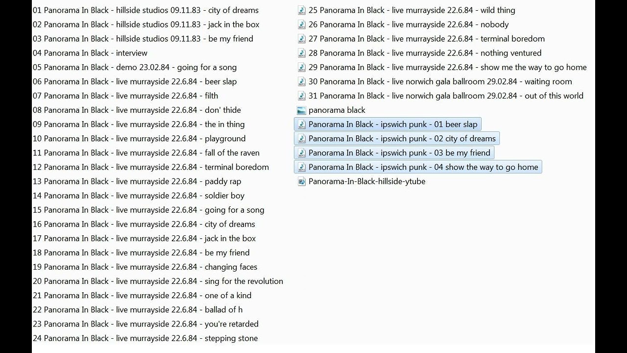 Panorama In Black - Ipswic: Underrated UK82 Punk 🎸