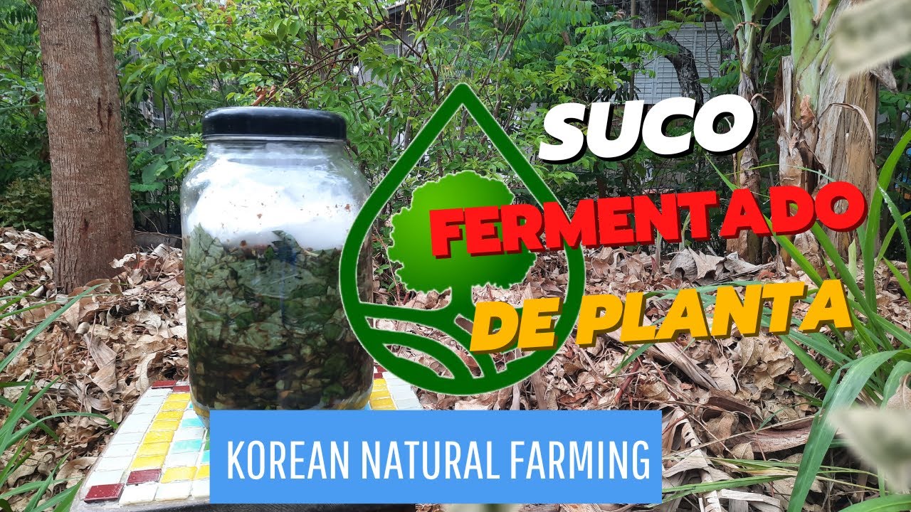 Suco Fermentado de Planta na Agricultura Natural 🌱