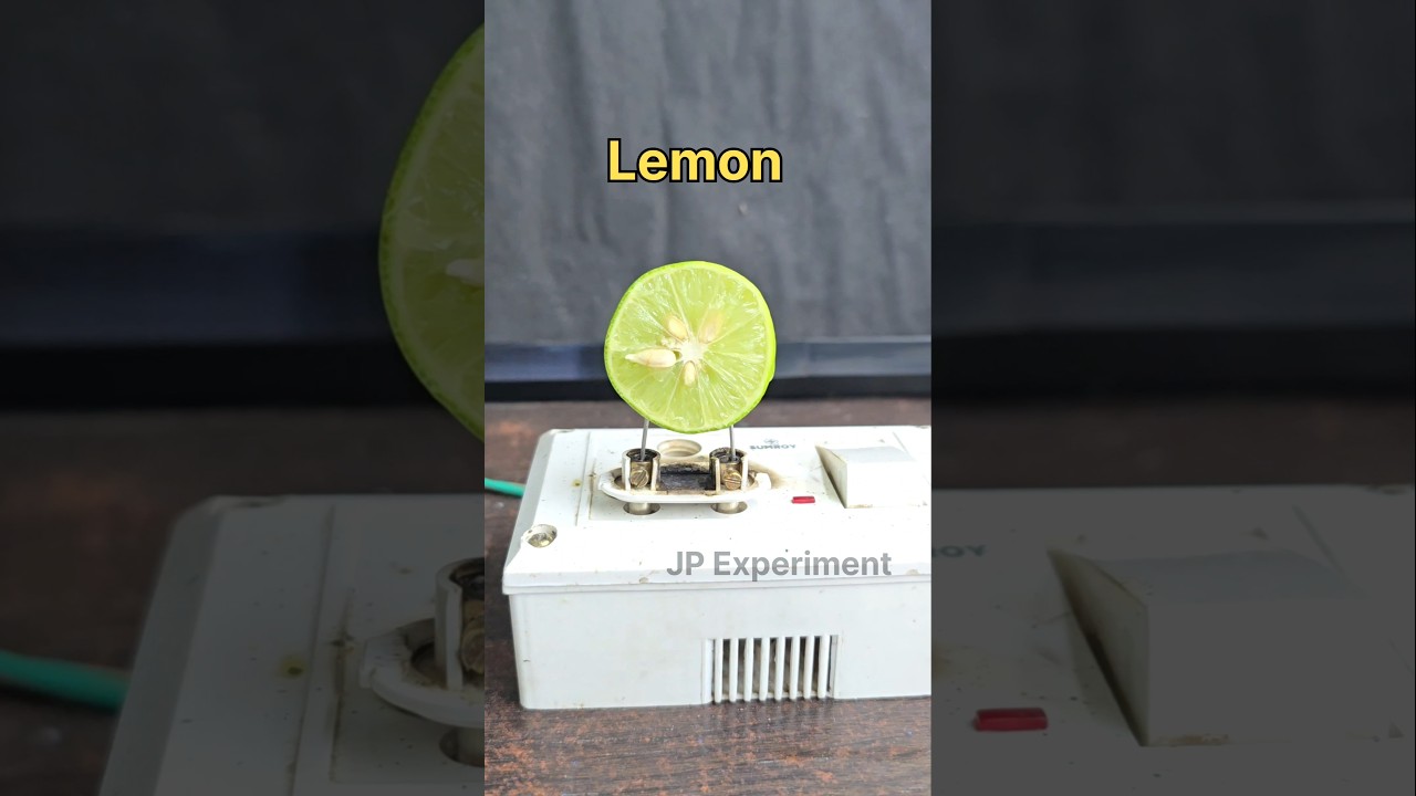 Lemon vs Electricity ⚡: Surprising Science Experiment!
