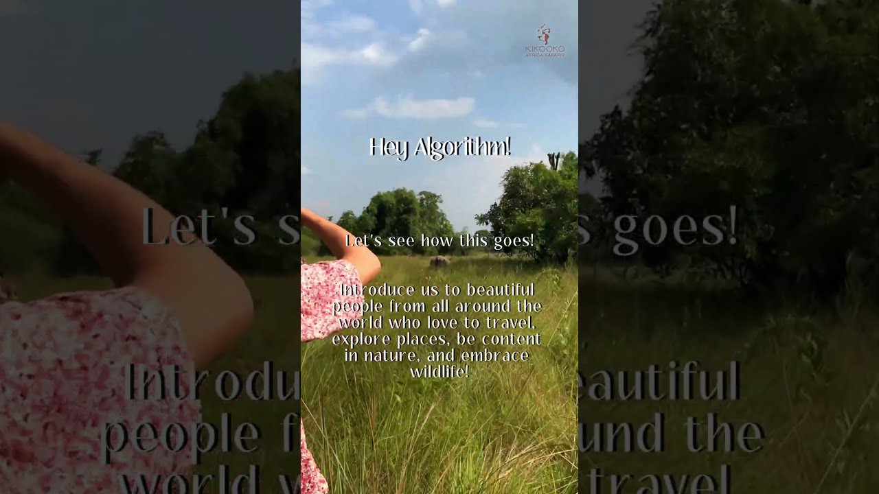 Plan Your East Africa Safari with Us π