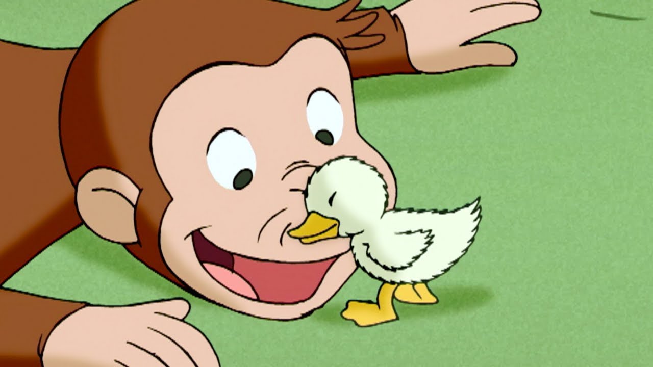 Curious George & the Monkey's Duckling 🐵 Kids Cartoon