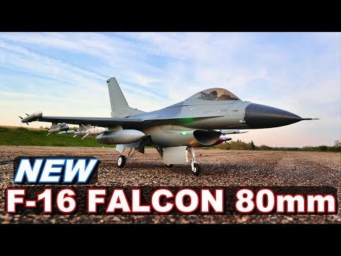 NEW RC JET WARBIRD!!! E-flite F-16 Falcon 80mm EDF Smart Jet - TheRcSaylors