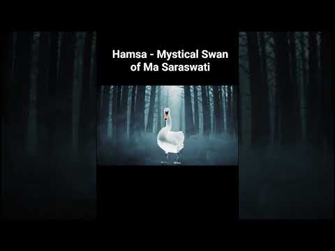 The Mystical Swan of Saraswati | Symbol of Wisdom and Liberation Hamsa #hamsa #saraswati #swan #ai