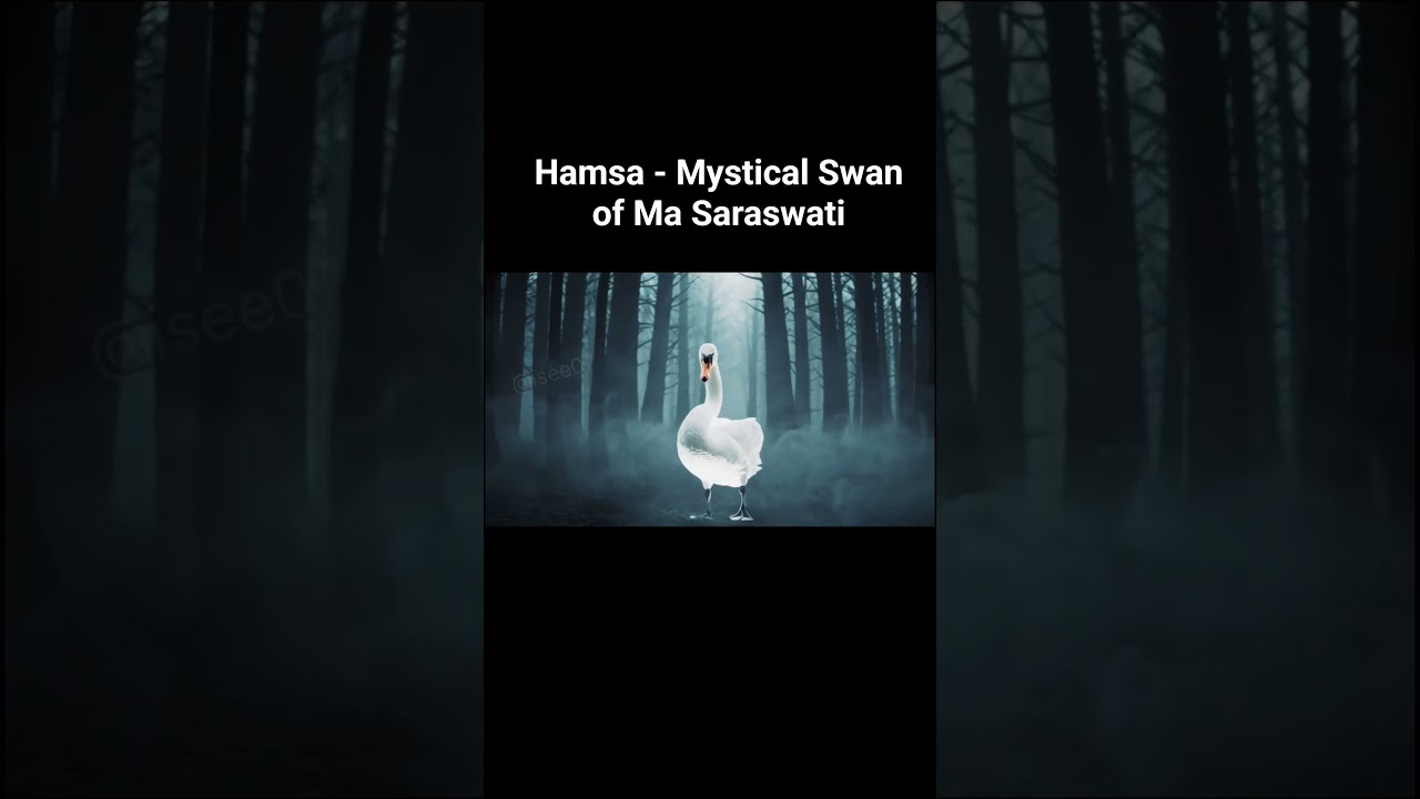Discover the Mystical Swan of Saraswati: A Symbol of Wisdom & Liberation 🦢