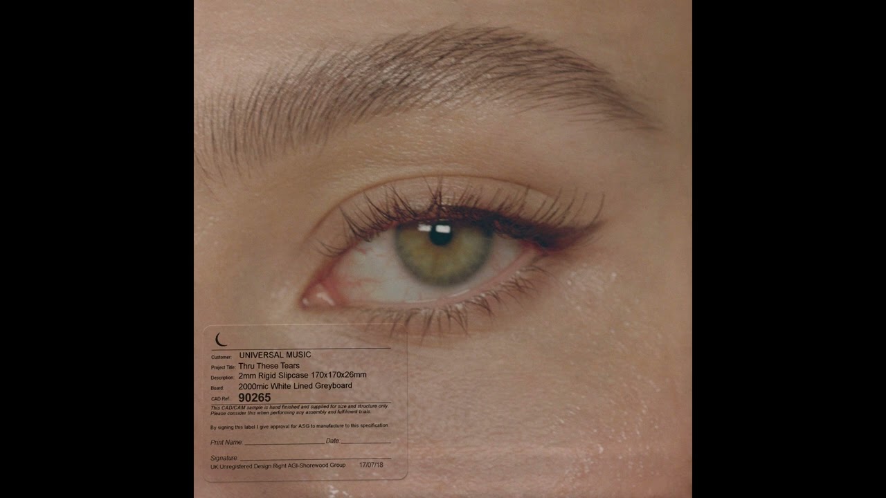 LANY - Thru These Tears (Instrumental) 🎶