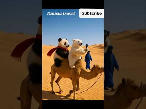 đ»ââïžđŒ Must-visit Tunisian travel destinations #Tunisia #Sidi Bou Said #Carthage Ruins #Sahara Desert