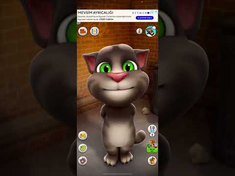 Talking Tom 🍒🥞🥭🍉🍑🍉🥞🍉🧈🍉