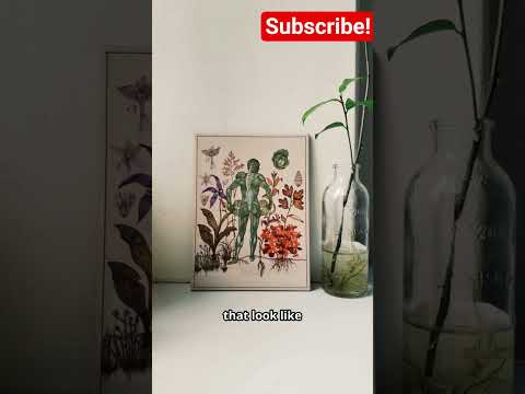 Voynich Manuscript - The most puzzling book written #VoynichManuscript #Cryptography #CreepyHistory