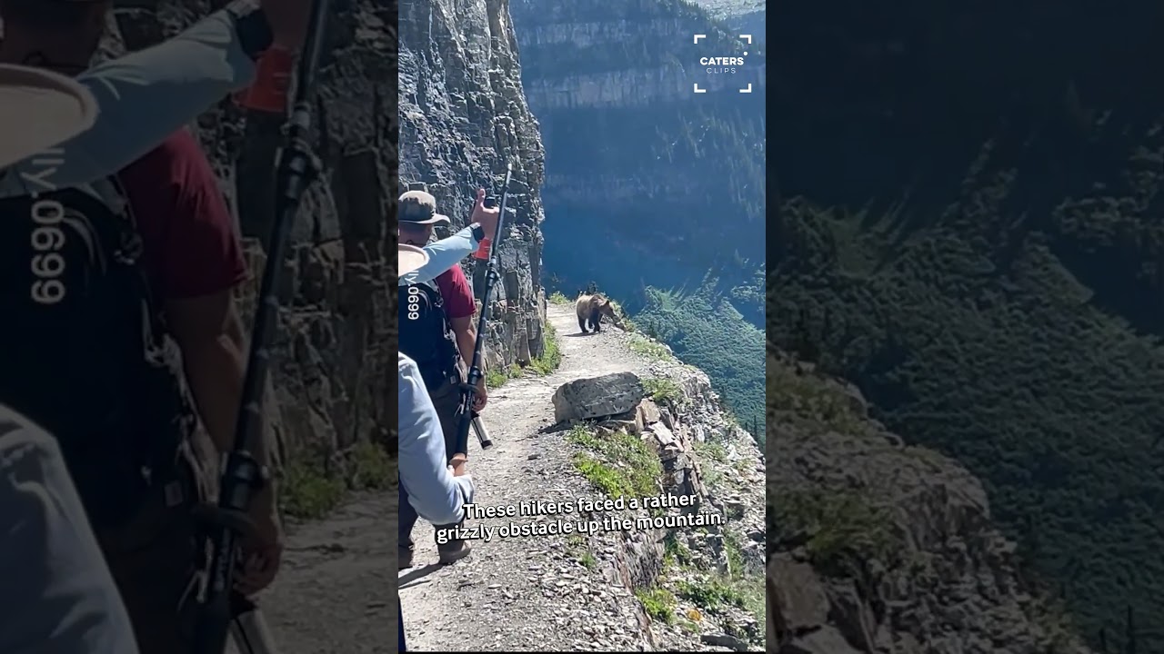 ​GRIZZLY BEAR CHASES DOWN HIKER!