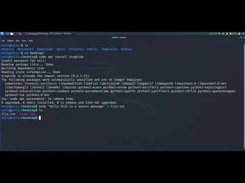 Hide Secret Message In Image using Steghide Tool.🔥