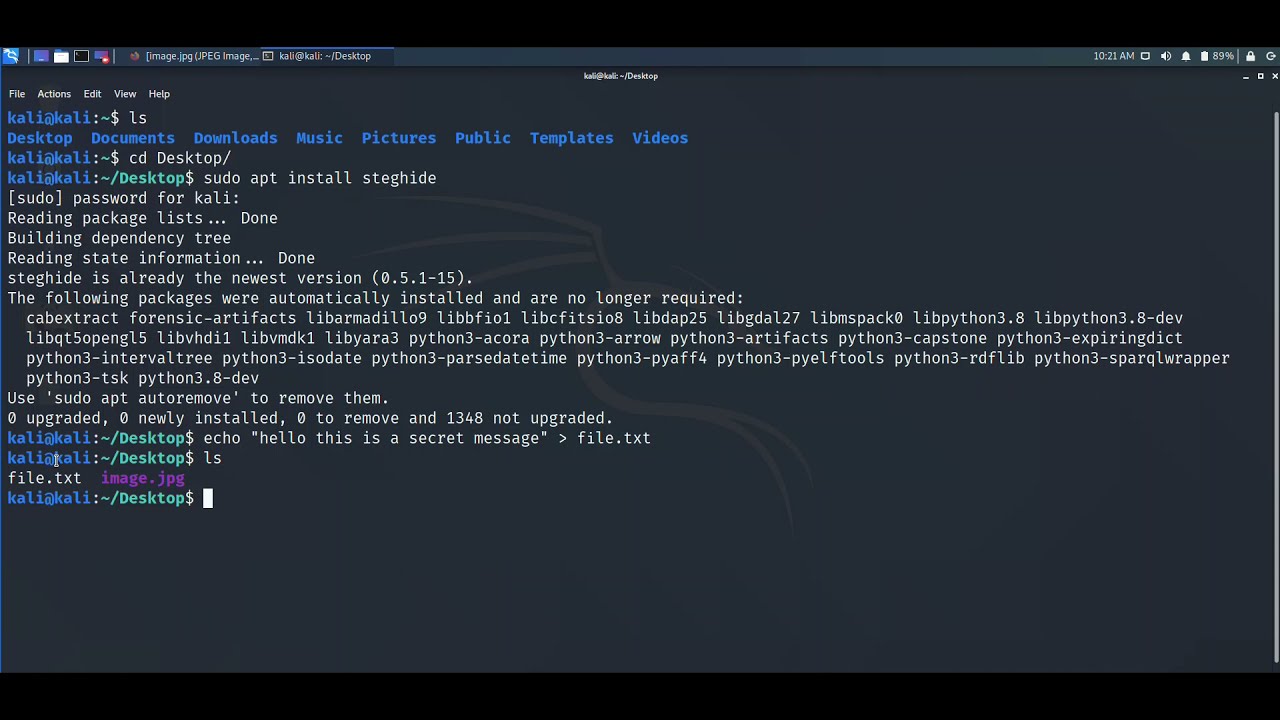 Hide Secret Messages in Images Easily with Steghide π