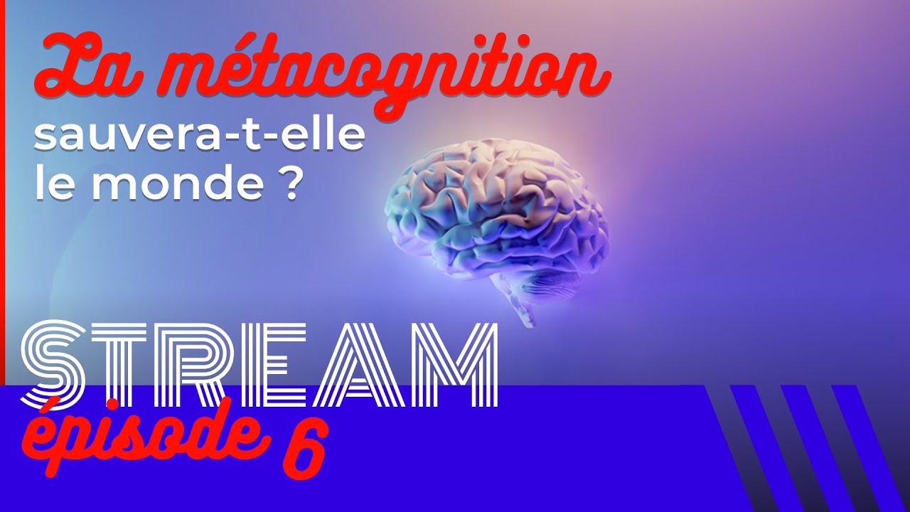 La métacognition peut-elle sauver le monde ? 🌍