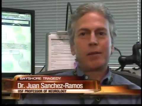 Parents Shocked: Son's LSD Use in Fatal Crash 😢