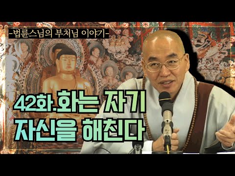 (EN-SUB) [법륜스님의 부처님 이야기] 42 화는 자기 자신을 해친다