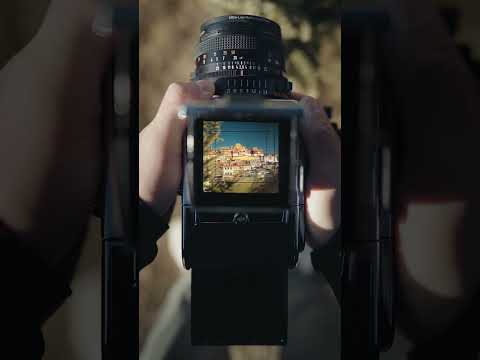 Vintage Meets Modern: Hasselblad 202FA + CFV 100C Magic