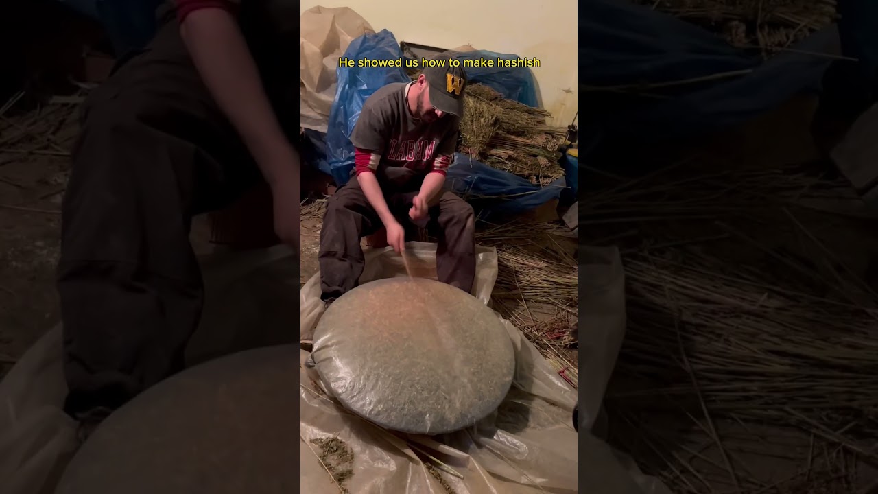 Hash Production in Ketama, Morocco ๐ฟ