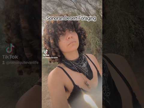 I'm no professional, please do your own research too! #foraging #desert #nomad #plants