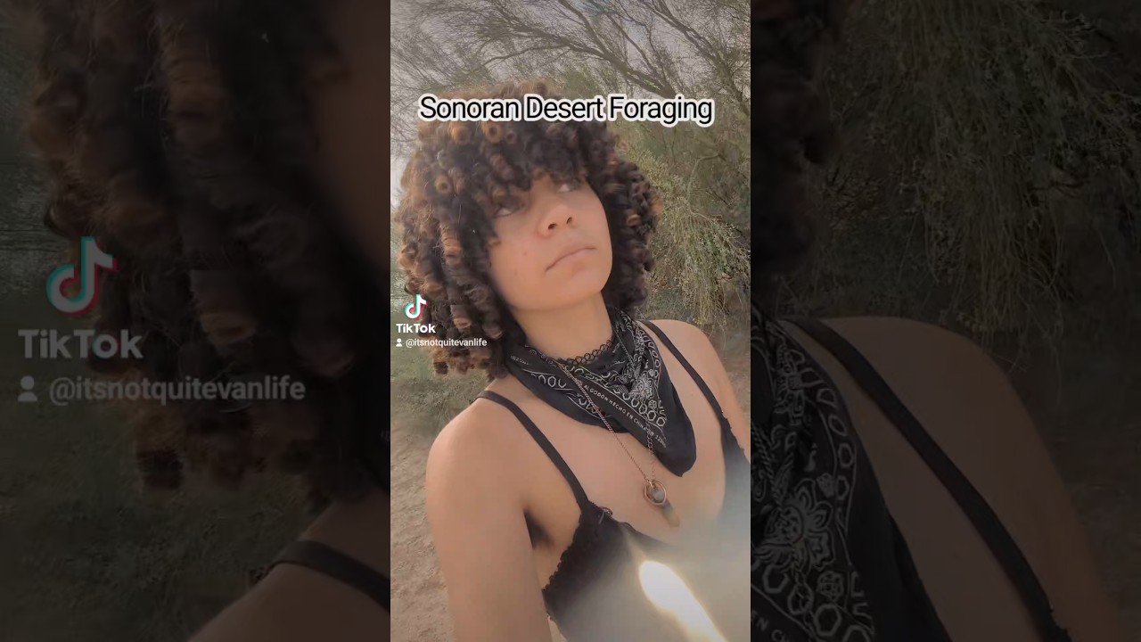 Foraging Tips for Desert Nomads 🌵