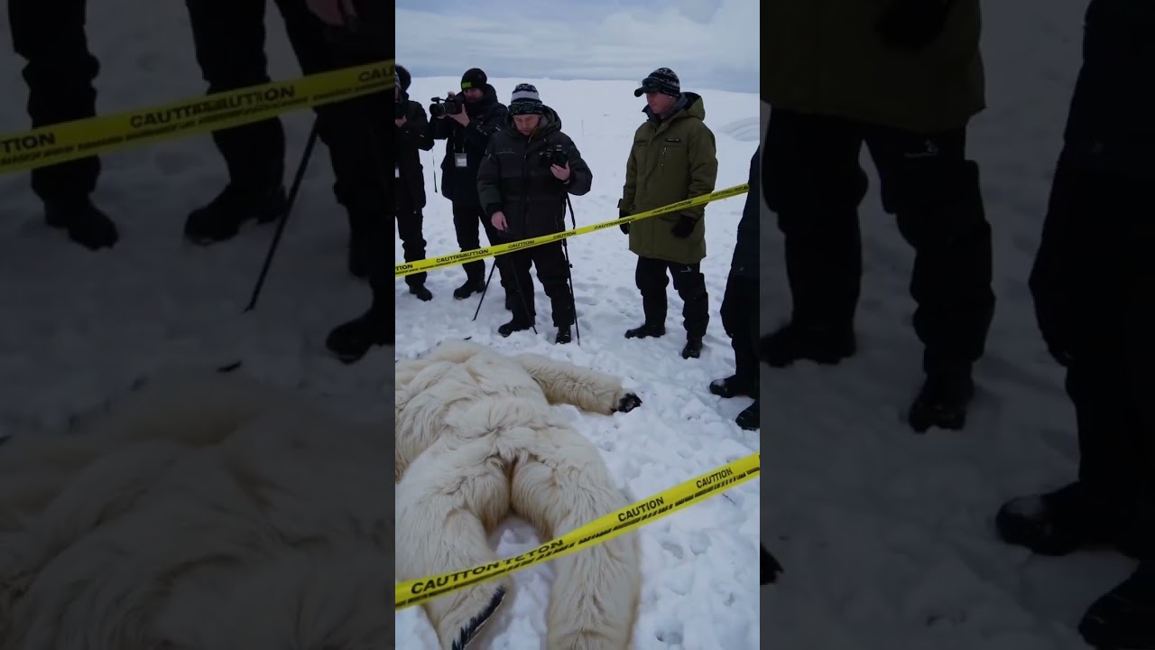 Is Yeti Just a Cooler or Something More? 🧊