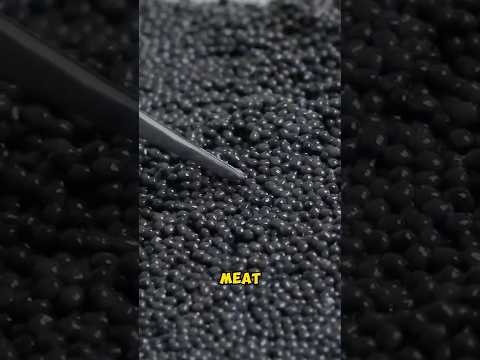 How Is Caviar Really Harvested?