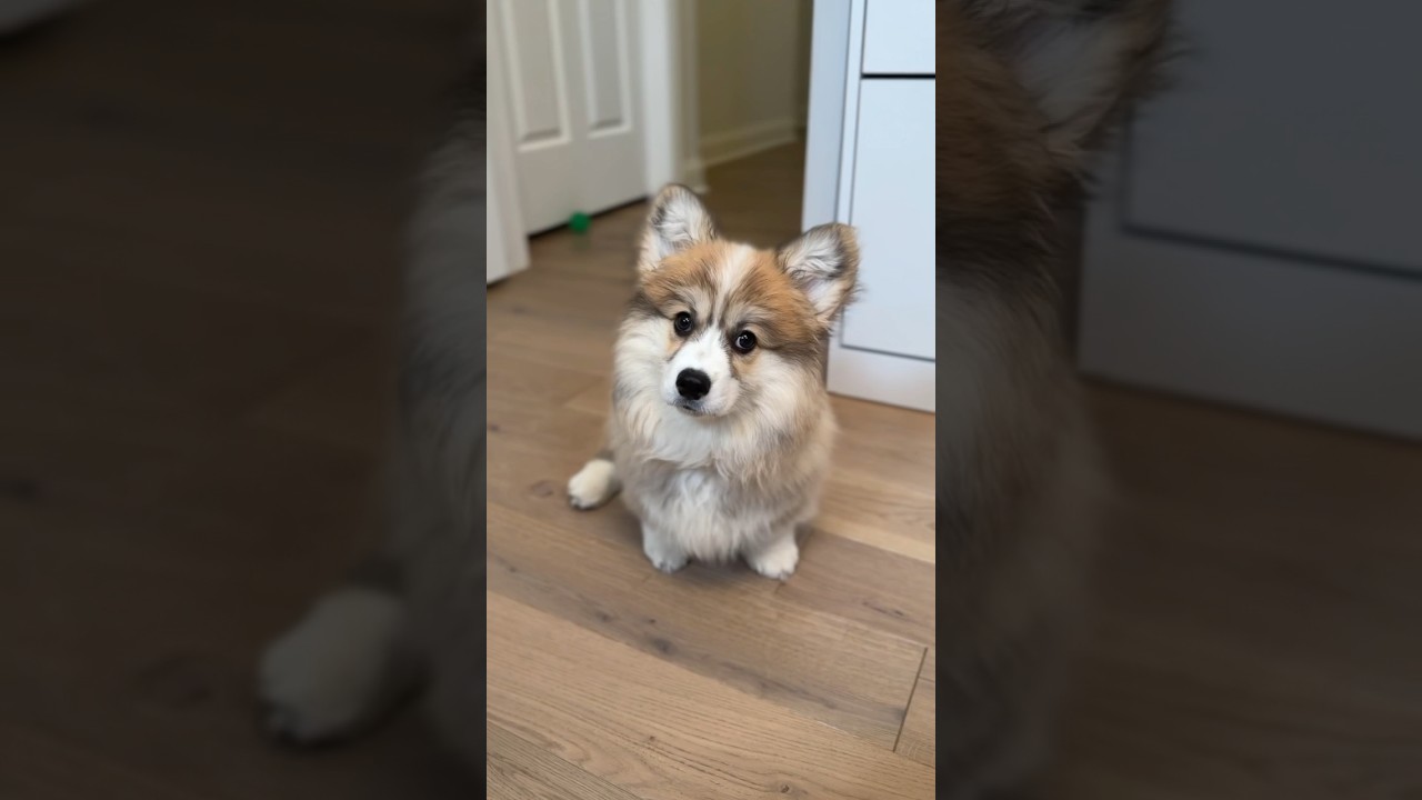 Fiona Discovers Olivia’s Closet