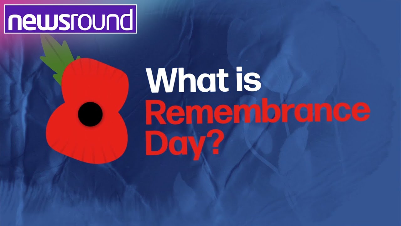 Remembrance Day Explained: Why It Matters 🇬🇧
