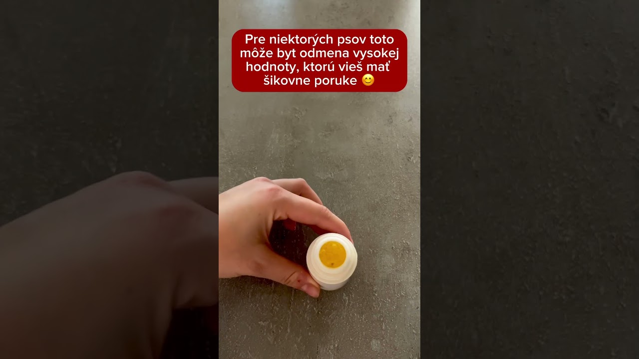 Rýchla a hodnotná odmena pre psa v stresových situáciách 🐶