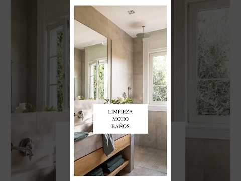 🦠✨TRUCO TIP LIMPIEZA MOHO en baños…·No soporto ver moho en el baño… 🤢 #homesstyles #videotutorial