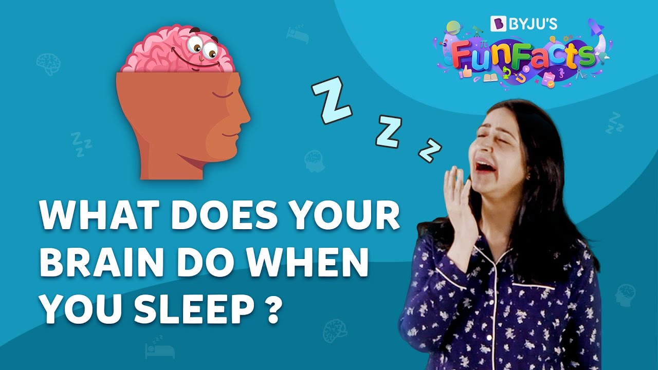 What Happens to Your Brain During Sleep ๐ง